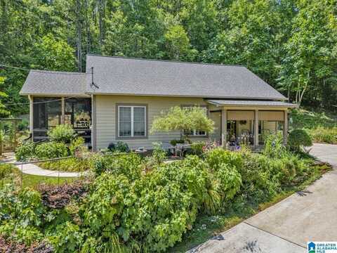 84 DORR ROAD, ONEONTA, AL 35121