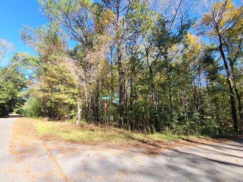 Lot 3b CHERRY DRIVE, WAVERLY HALL, GA 31831