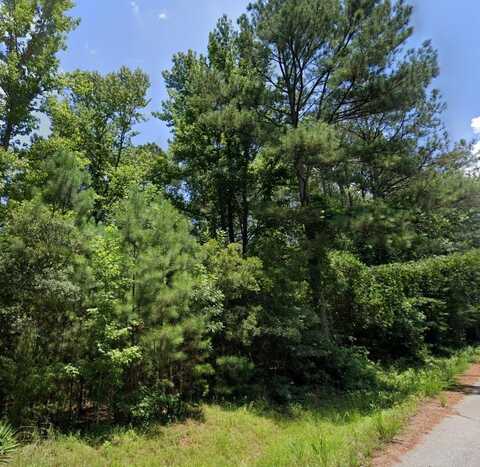 Lot 20m HICKORY CIRCLE, WAVERLY HALL, GA 31831