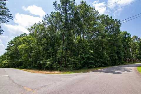 LEISURE CIRCLE, PINE MOUNTAIN, GA 31822