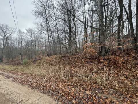 16204 TIMBER LINE DRIVE, WOLVERINE, MI 49799