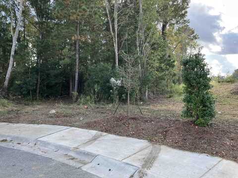 13.39 Acres Harbour Blvd., Myrtle Beach, SC 29577