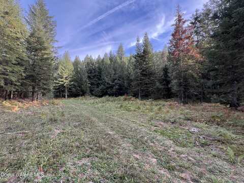 Lot 7 Bear Creek Rd, Kingston, ID 83839