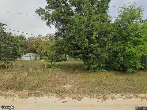 Sandy, INTERLACHEN, FL 32148