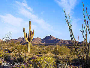 N Javelina Trail 218, Fountain Hills, AZ 85268