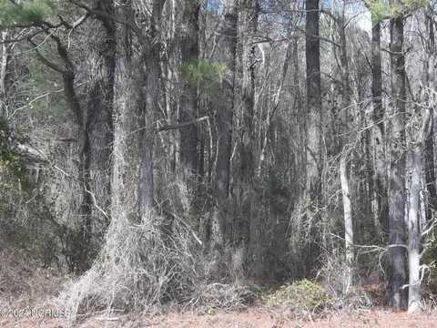 Lot 2 Griffin Swamp Road, Elizabeth City, NC 27909