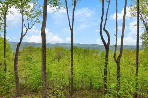 Sam Allen Mountain, ELLIJAY, GA 30536