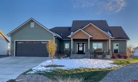 3848 Scarlet Court, Montrose, CO 81401