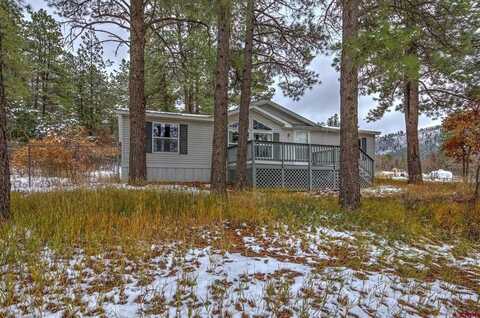 1000 Ute Drive, Pagosa Springs, CO 81147