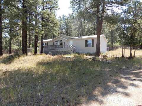 1000 Ute Drive, Pagosa Springs, CO 81147