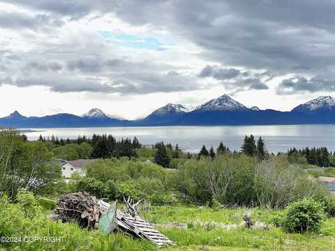 Lot 2 W Fairview Avenue, Homer, AK 99603