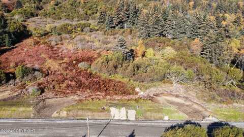 Lot 6 W Fairview Avenue, Homer, AK 99603