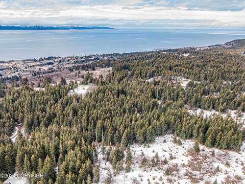 000 Bell Avenue, Homer, AK 99603