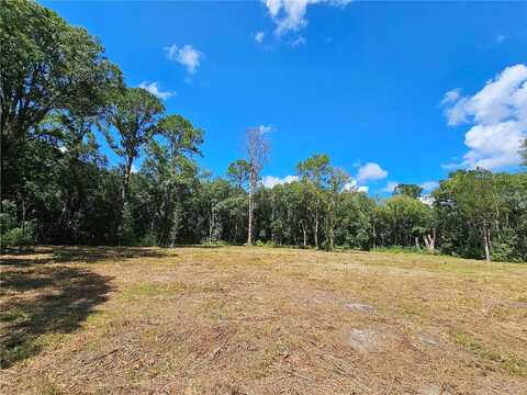 County Road 305, Bunnell, FL 32110