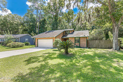 Island Forest, FLEMING ISLAND, FL 32003