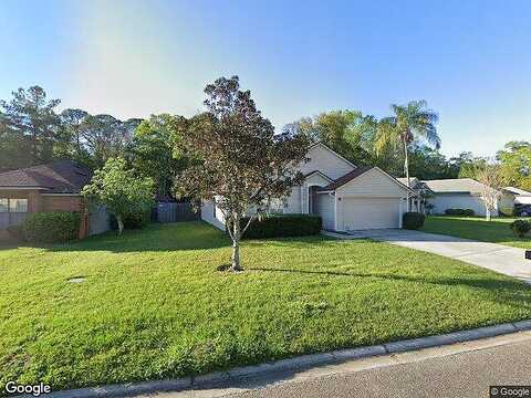 Turtle Dove, ORANGE PARK, FL 32073