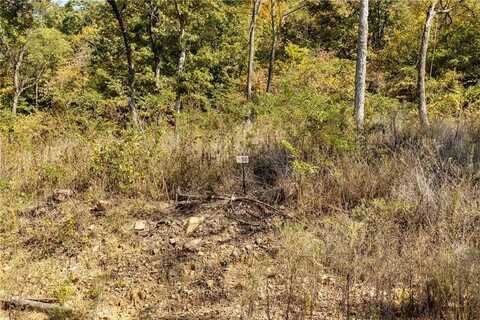 Lot 50 Restore Ridge, Harrison, AR 72601