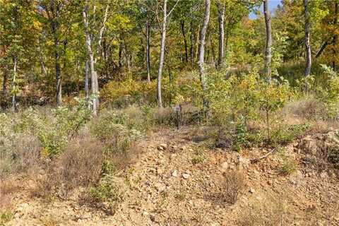 Lot 56 Restore Ridge, Harrison, AR 72601