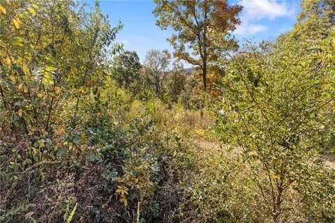 Lot 31 Peaceful PL, Harrison, AR 72601