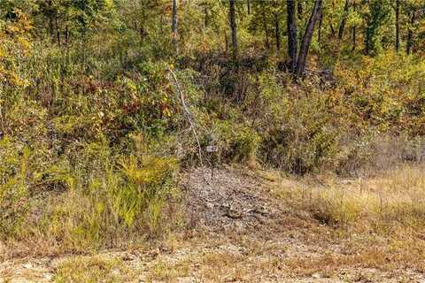 Lot 47 Restore Ridge, Harrison, AR 72601