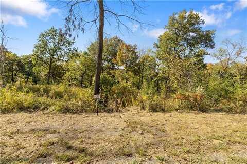 Lot 30 Peaceful PL, Harrison, AR 72601