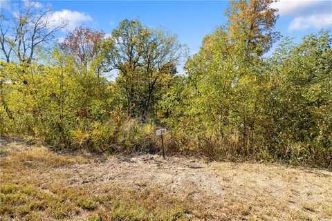 Lot 29 Peaceful PL, Harrison, AR 72601