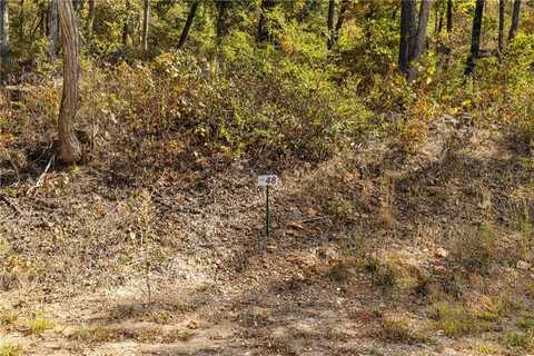 Lot 48 Restore Ridge, Harrison, AR 72601