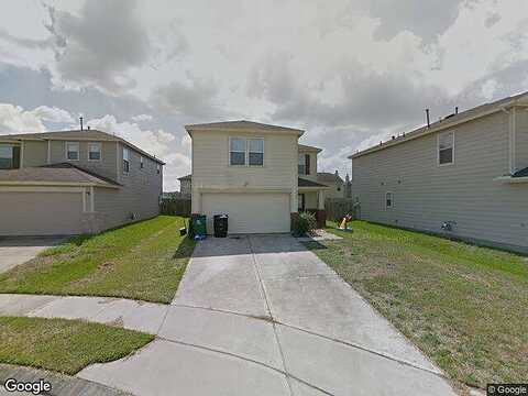 Skyview Cove, HOUSTON, TX 77047