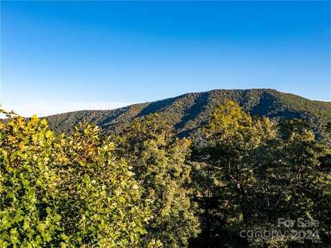 11 Watershed Way, Horse Shoe, NC 28742