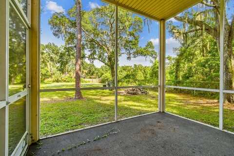 Leprechaun, RIVERVIEW, FL 33569