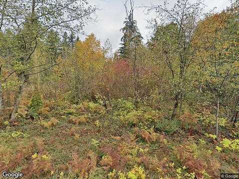 Peter Grubb, RENTON, WA 98058