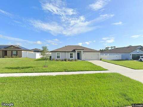 Indian Grass, LEESBURG, FL 34788