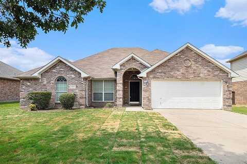 Lone Ranger, LITTLE ELM, TX 75068