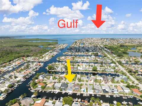 Bonito, NEW PORT RICHEY, FL 34652