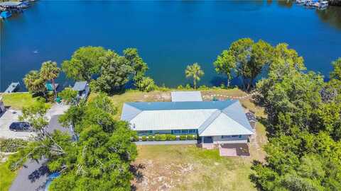 Ringdove, CRYSTAL RIVER, FL 34428