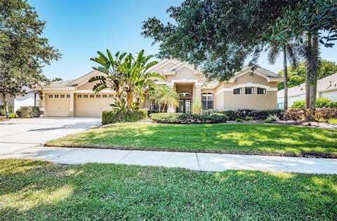 Janus, PALM HARBOR, FL 34685