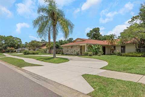 Jennifer, PALM HARBOR, FL 34685