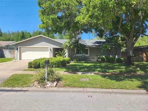 Del Robles, CLEARWATER, FL 33764