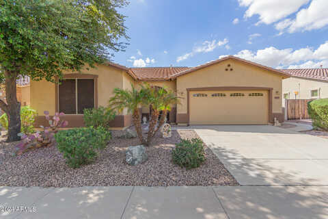 Ivy, SURPRISE, AZ 85388