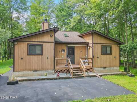 Black Bear, LAKE ARIEL, PA 18436