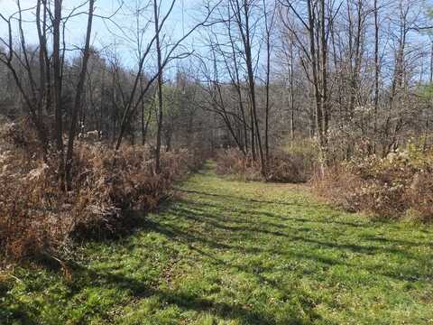 1350 COUNTY ROAD 16, Beaver Dams, NY 14812