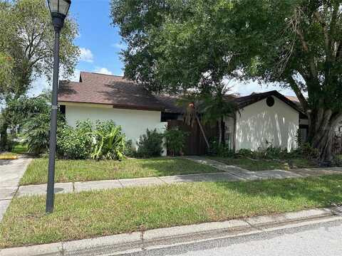 Bellefield, TAMPA, FL 33624