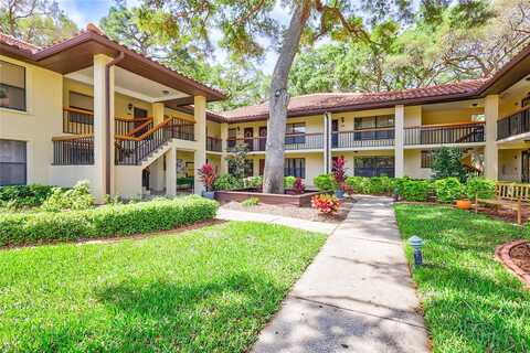 Hammock Pine, CLEARWATER, FL 33761