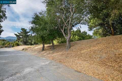 46 Cedar Terrace, Orinda, CA 94563