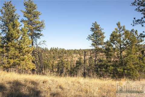 Lot 49 Stara Tukan Road, Columbus, MT 59019