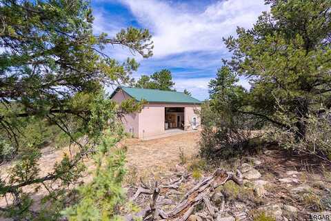 & 533 Kevin Drive, Cotopaxi, CO 81223