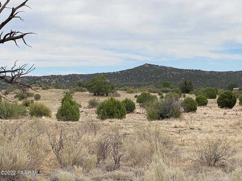 N Pheasant Run Road, Prescott, AZ 86305