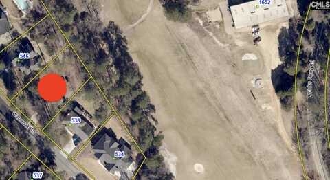 542 Water Oak Trail, Chapin, SC 29036