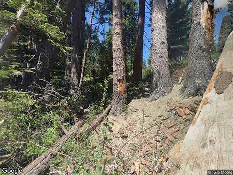 Fallen Leaf, SOUTH LAKE TAHOE, CA 96150