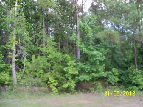 OLD LOUVALE ROAD, CUSSETA, GA 30805